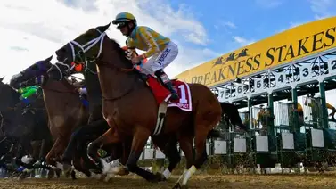 Preakness Stakes: Aquí revelamos la fecha, hora y lugar del sorteo de los puestos de salidas para la segunda gema estadounidense Preakness Stakes: Aquí revelamos la fecha, hora y lugar del sorteo de los puestos de salidas para la segunda gema estadounidense