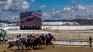 Autoridades del Preakness ofrece un incentivo de seis cifras a entrenadores Autoridades del Preakness ofrece un incentivo de seis cifras a entrenadores