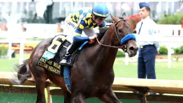 Ocala Breeders’ Sale publica catálogo de dosañeros y ejemplares en carreras para la subasta de mitad de año Ocala Breeders’ Sale publica catálogo de dosañeros y ejemplares en carreras para la subasta de mitad de año