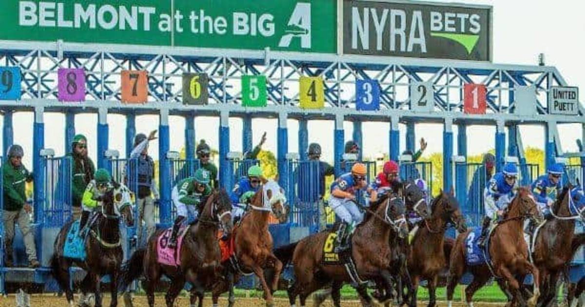 El Match de la semana: El Ruffian Stakes de Grado 2, por $200 mil ...