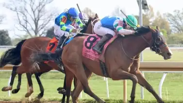 Llega el Peter Pan Stakes (G3) prueba clasificatoria para el Belmont Stakes (G1) Llega el Peter Pan Stakes (G3) prueba clasificatoria para el Belmont Stakes (G1)