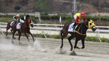 La genética de oro llega a la pista: Debuta en La Rinconada hija de una gran campeona selectiva La genética de oro llega a la pista: Debuta en La Rinconada hija de una gran campeona selectiva