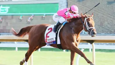 Debut de lujo: Potra de semental campeón joven en Estados Unidos corre este domingo en La Rinconada Debut de lujo: Potra de semental campeón joven en Estados Unidos corre este domingo en La Rinconada