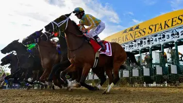 Conoce la cartelera selectiva de la semana para el Preakness Stakes Day Conoce la cartelera selectiva de la semana para el Preakness Stakes Day