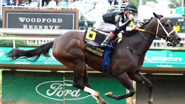Sangre de semental ganador de Grado 1 en Churchill Downs debuta este domingo en La Rinconada Sangre de semental ganador de Grado 1 en Churchill Downs debuta este domingo en La Rinconada