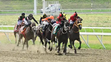 ¡Poder joven! Los últimos dos ganadores de esta prueba selectiva de Grado II van por la gloria este domingo ¡Poder joven! Los últimos dos ganadores de esta prueba selectiva de Grado II van por la gloria este domingo