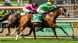 No hay quinto malo: Emisael Jaramillo por un batacazo el sábado en el Senorita Stakes (G3)
