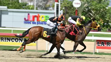 ¡Trueno en la pista! Entérate del ajuste secreto de la línea de Gaceta Hípica antes del clásico para el 5y6 dominical ¡Trueno en la pista! Entérate del ajuste secreto de la línea de Gaceta Hípica antes del clásico para el 5y6 dominical