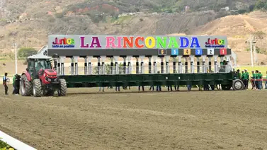 Ni favoritos ni lógicos: La selección de Meridiano Web para triunfar en la Polla dominical en La Rinconada Ni favoritos ni lógicos: La selección de Meridiano Web para triunfar en la Polla dominical en La Rinconada
