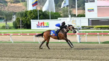 ¡Alerta en la quinta válida! El ajuste que dejó a todos boquiabiertos tras su reciente triunfo en La Rinconada ¡Alerta en la quinta válida! El ajuste que dejó a todos boquiabiertos tras su reciente triunfo en La Rinconada