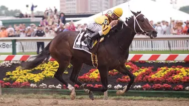 Preakness Stakes: ¿Sabes cuántos ganadores de la segunda gema fueron coronados Caballos del Año? Preakness Stakes: ¿Sabes cuántos ganadores de la segunda gema fueron coronados Caballos del Año?