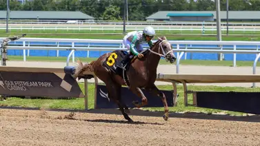 Samy Camacho por un cupo para Royal Ascot en esta carrera selectiva de Gulfstream Park Samy Camacho por un cupo para Royal Ascot en esta carrera selectiva de Gulfstream Park