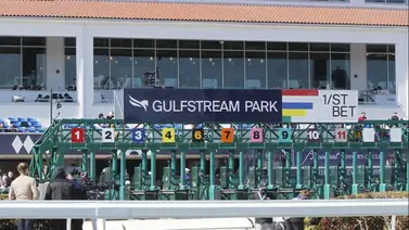 ¿Quién ganará? Seis jockeys y dos entrenadores venezolanos copan esta prueba del sábado en Gulfstream Park ¿Quién ganará? Seis jockeys y dos entrenadores venezolanos copan esta prueba del sábado en Gulfstream Park