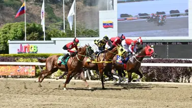 ¡A sellar por mamá!: El cuadro sugerido para el 5y6 nacional de este domingo en La Rinconada ¡A sellar por mamá!: El cuadro sugerido para el 5y6 nacional de este domingo en La Rinconada