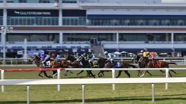 ¡Anótate a ganador! Meridiano te ofrece La Previa Hípica para Gulfstream Park y Churchill Downs con picks gratis ¡Anótate a ganador! Meridiano te ofrece La Previa Hípica para Gulfstream Park y Churchill Downs con picks gratis