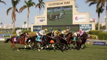 Asi quedaron los resultados de las carreras del viernes en Gulfstream Park del 8-5 -2026 Asi quedaron los resultados de las carreras del viernes en Gulfstream Park del 8-5 -2026