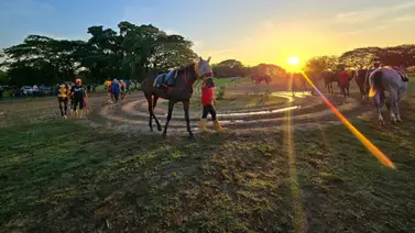 Atención: Entérate del ejemplar retirado para el Hipódromo Nacional de Valencia 09-05-2026 Atención: Entérate del ejemplar retirado para el Hipódromo Nacional de Valencia 09-05-2026
