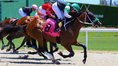 Marcos Meneses silencia las tribunas: Sorpresa y triunfo de infarto en la apertura sabatina de Gulfstream Park Marcos Meneses silencia las tribunas: Sorpresa y triunfo de infarto en la apertura sabatina de Gulfstream Park