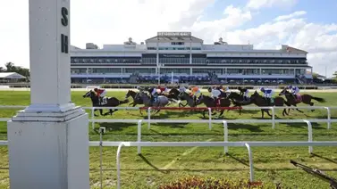 Así quedaron los resultados de las carreras en Gulfstream Park para el sábado 9-5-2026 Así quedaron los resultados de las carreras en Gulfstream Park para el sábado 9-5-2026