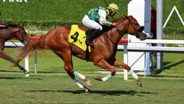 Cátedra de Miguel Ángel Vásquez: Liberty Rings gana de tiro a tiro el Royal Palm Juvenile Fillies Cátedra de Miguel Ángel Vásquez: Liberty Rings gana de tiro a tiro el Royal Palm Juvenile Fillies