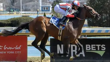Growth Equity domina el Peter Pan Stakes (G3) y su próxima parada es el Belmont Stakes Growth Equity domina el Peter Pan Stakes (G3) y su próxima parada es el Belmont Stakes