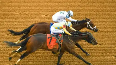 Ejemplar retirado del Derby de Kentucky, no irá al Preaknees Stakes (G1) por estos detalles Ejemplar retirado del Derby de Kentucky, no irá al Preaknees Stakes (G1) por estos detalles