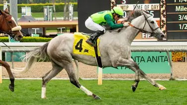 Emisael Jaramillo se pone a pata de mingo del liderato del meeting en Santa Anita Park Emisael Jaramillo se pone a pata de mingo del liderato del meeting en Santa Anita Park