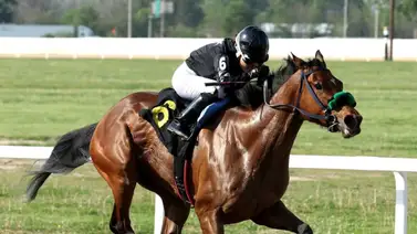 Yoqueta aprendiz venezolana vuelve a ganar en Fairmount Park. Yoqueta aprendiz venezolana vuelve a ganar en Fairmount Park.