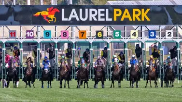Conoce a cada uno de los competidores que participan en la edición 151 del Preakness Stakes (G1) Conoce a cada uno de los competidores que participan en la edición 151 del Preakness Stakes (G1)