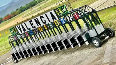 Jinete y entrenador bajo la lupa: Abren investigación administrativa por el caso de la actuación de una yegua en Hinava Jinete y entrenador bajo la lupa: Abren investigación administrativa por el caso de la actuación de una yegua en Hinava