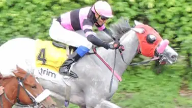 De Paraguaná para el mundo: Mira lo que dijo el Jockey aprendiz venezolano tras ganar su primer clásico en el extranjero De Paraguaná para el mundo: Mira lo que dijo el Jockey aprendiz venezolano tras ganar su primer clásico en el extranjero