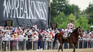 El Preakness Stakes (G1) llega el sábado con más de $3 millones de dólares en 14 competencias El Preakness Stakes (G1) llega el sábado con más de $3 millones de dólares en 14 competencias