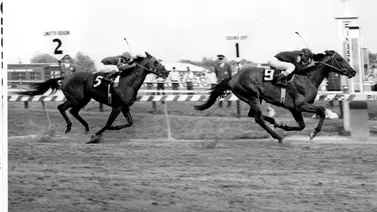 Preakness Stakes: Estos son los venezolanos que han ganado la segunda gema de la triada norteamericana Preakness Stakes: Estos son los venezolanos que han ganado la segunda gema de la triada norteamericana