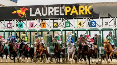 Braken Poppa encabeza la lista del Black-Eyed Susan (G2) el viernes en Laurel Park Braken Poppa encabeza la lista del Black-Eyed Susan (G2) el viernes en Laurel Park