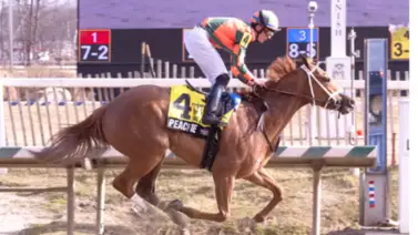 El Miss Preakness Stakes (G3) en Laurel Park abre la jornada selectiva de este viernes en Maryland El Miss Preakness Stakes (G3) en Laurel Park abre la jornada selectiva de este viernes en Maryland
