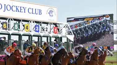 Faust con José Ortiz como el primer favorito para el Maryland Sprint Stakes (G3) Faust con José Ortiz como el primer favorito para el Maryland Sprint Stakes (G3)