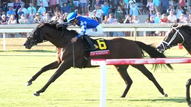 Fort Washington enfrenta a Cruise The Nile en el Dinner Party Stakes (G3) Fort Washington enfrenta a Cruise The Nile en el Dinner Party Stakes (G3)