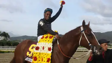 ¡Vuelve el campeón! Alfredo García Paduani reaparece tras su histórica hazaña con dos ejemplares en La Rinconada ¡Vuelve el campeón! Alfredo García Paduani reaparece tras su histórica hazaña con dos ejemplares en La Rinconada