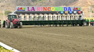 Esta es la nómina del XXIII Clásico “Gustavo Ávila” (GI) en recorrido de 1.600 metros Esta es la nómina del XXIII Clásico “Gustavo Ávila” (GI) en recorrido de 1.600 metros
