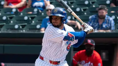 MLB: Jugador de los Leones del Caracas pelea el liderato de remolques con prospecto de los Yankees MLB: Jugador de los Leones del Caracas pelea el liderato de remolques con prospecto de los Yankees
