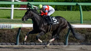 Purasangre que compitió en el Kentucky Derby (G1) termina lesionado. Aquí el reporte Purasangre que compitió en el Kentucky Derby (G1) termina lesionado. Aquí el reporte