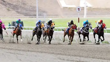 A la pista la nueva generación: Debutan los primeros potros de dos años del 2026 en La Rinconada A la pista la nueva generación: Debutan los primeros potros de dos años del 2026 en La Rinconada