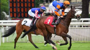 Mike Repole no solo triunfa en América: ahora tiene un ganador de Stakes en Italia Mike Repole no solo triunfa en América: ahora tiene un ganador de Stakes en Italia