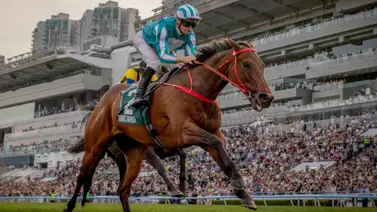 Confirmado: Romantic Warrior tiene ocho rivales para la tercera gema en Hong Kong Confirmado: Romantic Warrior tiene ocho rivales para la tercera gema en Hong Kong