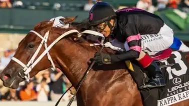 Premios Iroquois: Kappa Kappa arrasa con los galardones 2025, entre ellos como Caballo del Año en Pensilvania Premios Iroquois: Kappa Kappa arrasa con los galardones 2025, entre ellos como Caballo del Año en Pensilvania