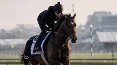 Las coincidenciales derrotas previas de los caballos de Chad Brown que luego ganaron el Preakness Stakes (G1) Las coincidenciales derrotas previas de los caballos de Chad Brown que luego ganaron el Preakness Stakes (G1)