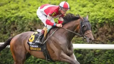 Burnham Square va por el ¡Back to Back! este sábado en Churchill Downs Burnham Square va por el ¡Back to Back! este sábado en Churchill Downs