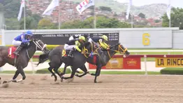 ¿Busca el éxito en las válidas? Estos son los ejemplares con mejor valoración técnica en La Rinconada