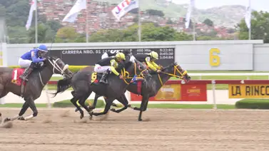 ¿Busca el éxito en las válidas? Estos son los ejemplares con mejor valoración técnica en La Rinconada ¿Busca el éxito en las válidas? Estos son los ejemplares con mejor valoración técnica en La Rinconada