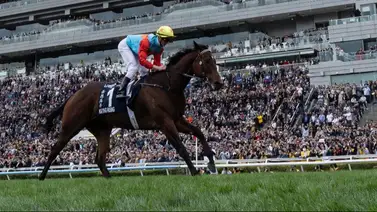 Actualizan el listado de los mejores caballos del mundo Actualizan el listado de los mejores caballos del mundo